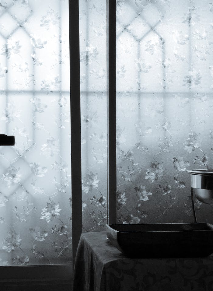 Moody window scene with floral pattern and silhouette lighting.
